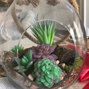 Meet your Posher, Tracey